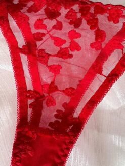 Detalle frontal del set de lencería rojo con acabado crop